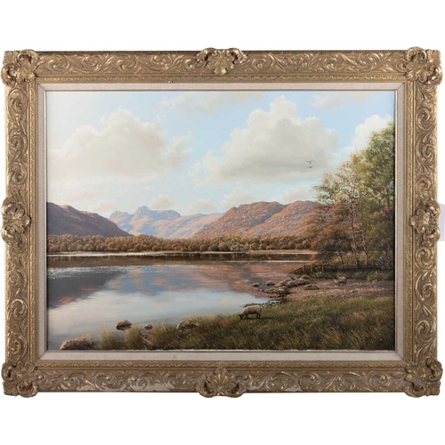 651 - P. MCKAY (20TH CENTURY) LAKELAND LANDSCAPE Signed
Oil on canvas
 (44cm x 60cm)... 