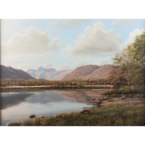 651 - P. MCKAY (20TH CENTURY) LAKELAND LANDSCAPE Signed
Oil on canvas
 (44cm x 60cm)... 