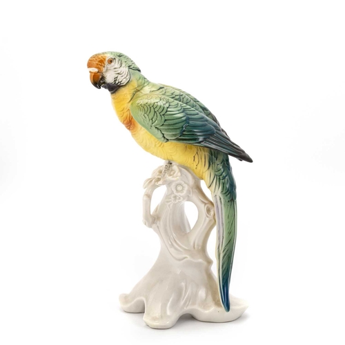 66 - A PAIR OF GERMAN PORCELAIN MODELS OF PARROTS, KARL ENS, 20TH CENTURY each modelled perched on a stum... 