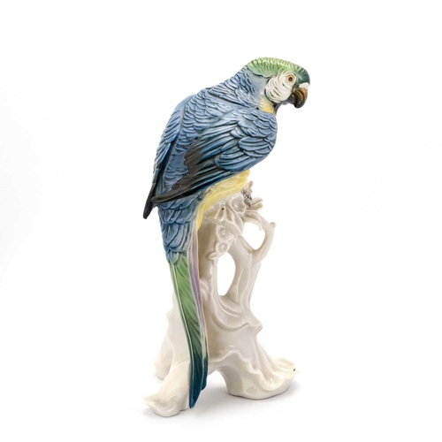 66 - A PAIR OF GERMAN PORCELAIN MODELS OF PARROTS, KARL ENS, 20TH CENTURY each modelled perched on a stum... 