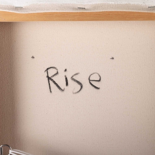 675 - ‡ MARK JOHNSTON (BORN 1974) RISE Signed, dated 2007 and titled verso
Oil on canvas(80cm x 80cm)... 