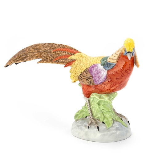 77 - A PAIR OF DRESDEN PORCELAIN MODELS OF GOLDEN PHEASANTS, 20TH CENTURY each modelled standing and brig... 