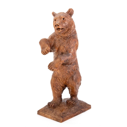 801 - A BLACK FOREST CARVED STANDING BEAR, CIRCA 1900 with inset eyes, label of Brienzer Holzschnitzerei. ... 