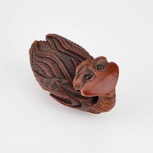 816 - AN UNUSUAL ZOOMORPHIC CARVED COQUILLA NUT SNUFF BOX, 18TH OR 19TH CENTURY carved looking backwards, ... 