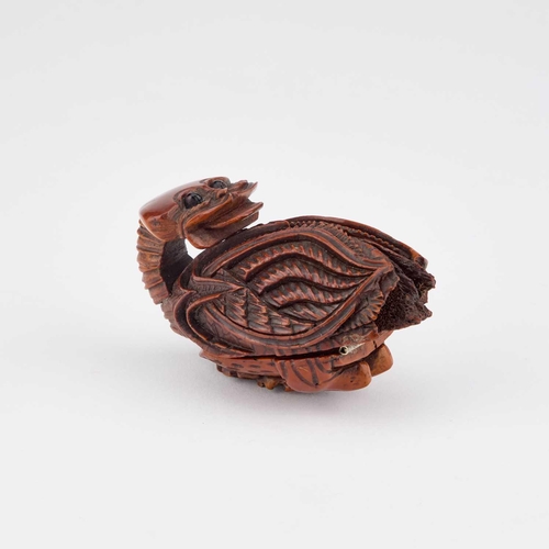 816 - AN UNUSUAL ZOOMORPHIC CARVED COQUILLA NUT SNUFF BOX, 18TH OR 19TH CENTURY carved looking backwards, ... 