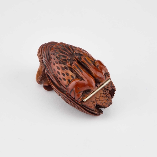 816 - AN UNUSUAL ZOOMORPHIC CARVED COQUILLA NUT SNUFF BOX, 18TH OR 19TH CENTURY carved looking backwards, ... 