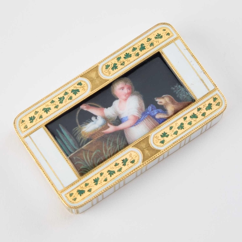 828 - A GERMAN GOLD AND ENAMEL SNUFF BOX, HANAU, CIRCA 1800 maker's mark FJ, rectangular, the hinged cover... 