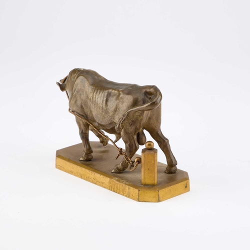 922 - A BRONZE MODEL OF A BULL, LATE 19TH/ EARLY 20TH CENTURY modelled standing tethered to a post. 15cm l... 