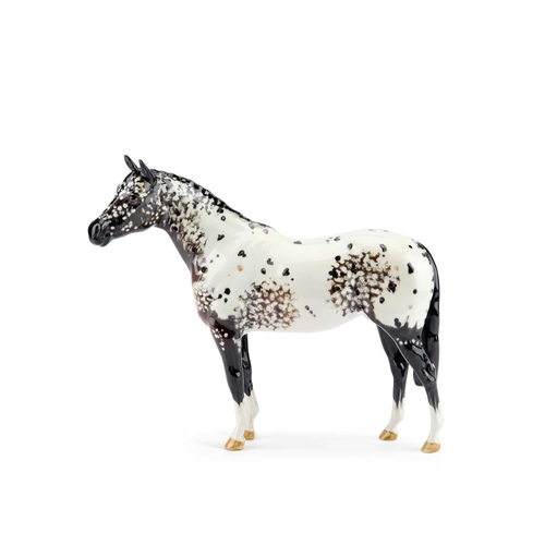 76 - A BESWICK MODEL OF AN APPALOOSA STALLION 20cm high