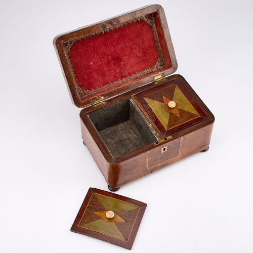 254 - A 19TH CENTURY INLAID WALNUT TEA CADDY rectangular, the interior with twin lidded compartments, rais... 