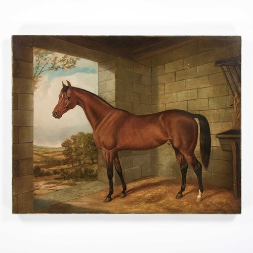 1113 - CIRCLE OF JOHN FREDERICK HERRING SNR (1795-1865) A RACEHORSE IN A STABLE Oil on canvas
Unframed
 (71... 