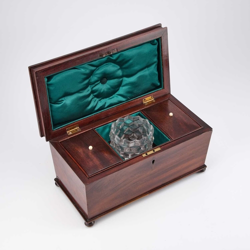 160 - AN EARLY VICTORIAN ROSEWOOD TEA CADDY rectangular, the interior with a pair of lidded compartments f... 