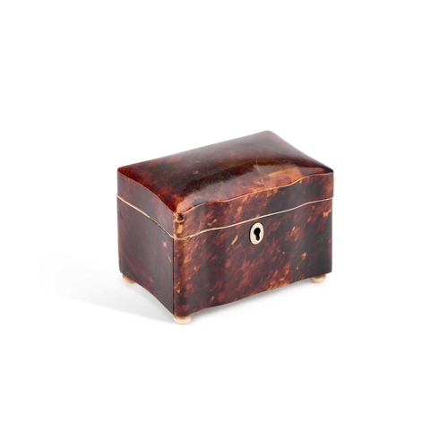 213 - Â§ A 19TH CENTURY TORTOISESHELL TEA CADDY rectangular, the interior vacant, raised on ivory bun feet... 