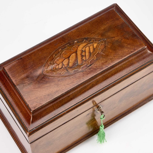 235 - A GEORGE III INLAID MAHOGANY TEA CADDY the hinged cover centred by an inlaid conch shell, the interi... 