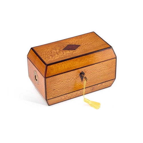 52 - AN EARLY 19TH CENTURY LACEWOOD AND ROSEWOOD TEA CADDY the interior with a pair of lidded compartment... 