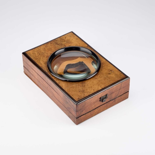 54 - A 19TH CENTURY WALNUT AND EBONISED GRAPHOSCOPE rectangular, label to the underside. 27cm by 18cm... 