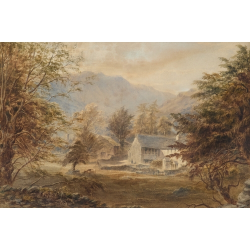 Lot 19        