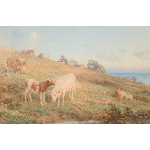 Lot 26        