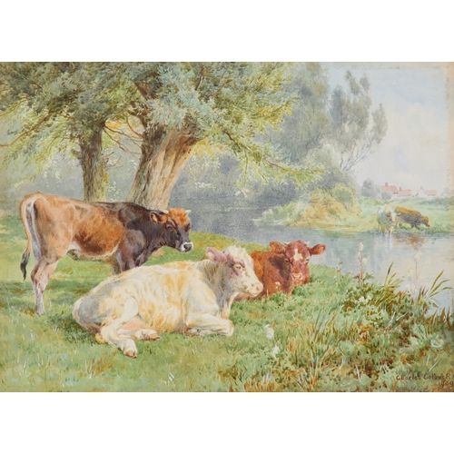 Lot 49        
