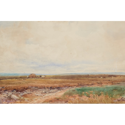 Lot 6         