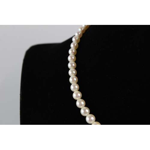 78 - Vintage graduated cream pearl necklace w/ diamond set 9ct white gold clasp, approx length of necklac... 