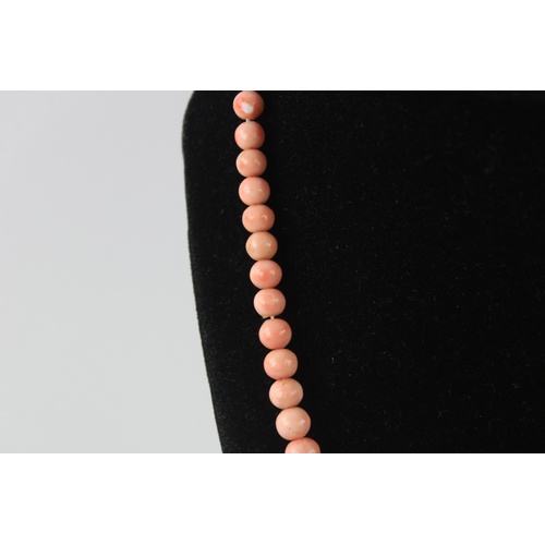 81 - 9ct gold clasped angelskin coral bead necklace (26g), approx length of necklace 17 inches