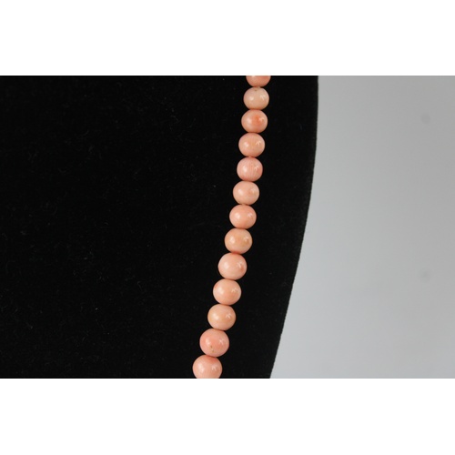 81 - 9ct gold clasped angelskin coral bead necklace (26g), approx length of necklace 17 inches