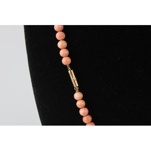 81 - 9ct gold clasped angelskin coral bead necklace (26g), approx length of necklace 17 inches