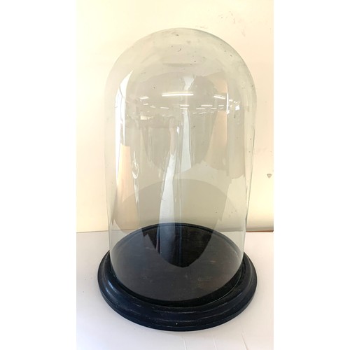 72 - Large Victorian hand blown glass display dome set on its circular ebonised wooden base, approximate ... 