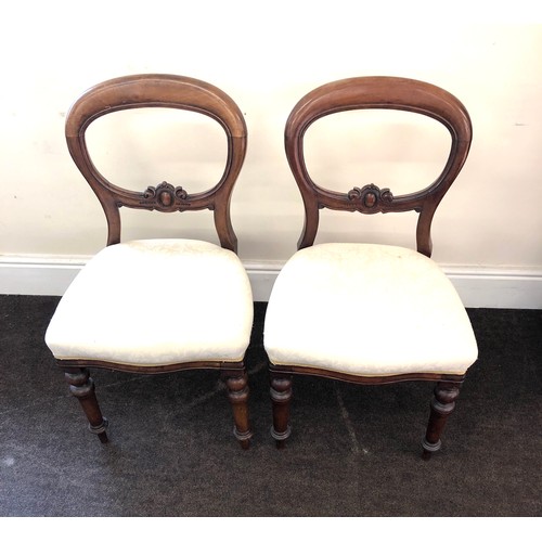 445 - Pair of mahogany victorian balloon back chairs