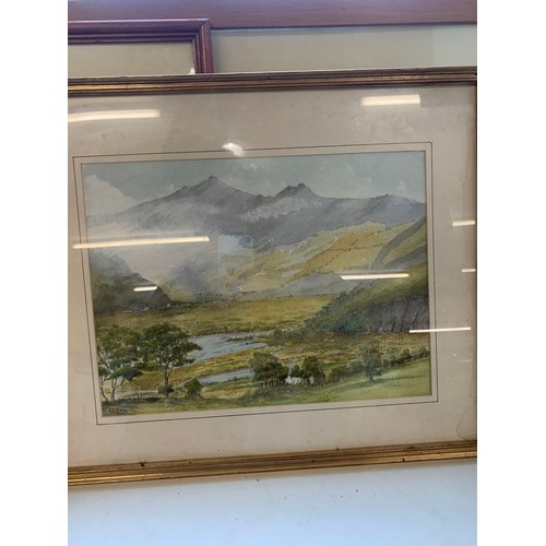 1 - Large selection of framed watercolours, pictures and posters