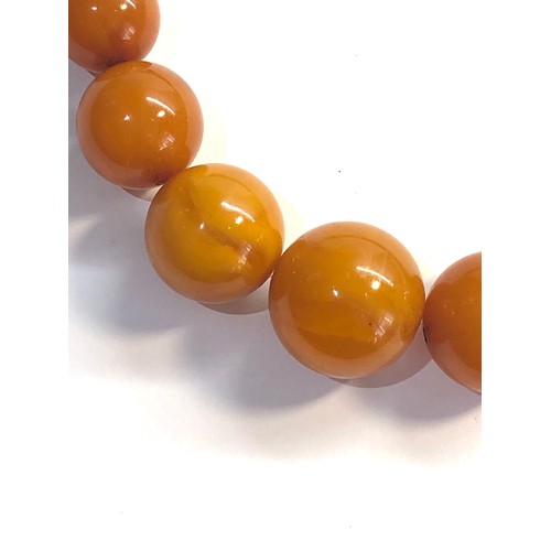 174 - Egg yolk butterscotch amber type bead necklace largest bead measures approx 21mm dia weight 55g