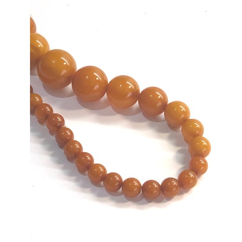 174 - Egg yolk butterscotch amber type bead necklace largest bead measures approx 21mm dia weight 55g