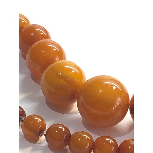 174 - Egg yolk butterscotch amber type bead necklace largest bead measures approx 21mm dia weight 55g