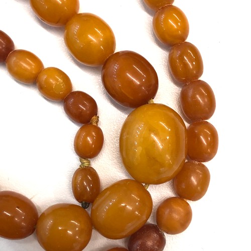 116 - egg yolk Butterscotch amber bead necklace 52g