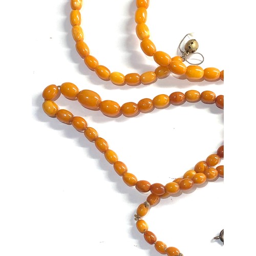 304 - 2 egg yolk amber bead necklaces 26g