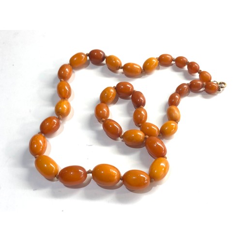 74 - Antique Egg yolk amber bead necklace weight 39g