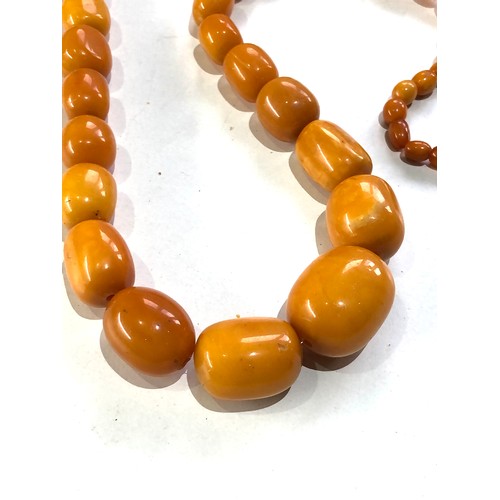 234 - Antique egg yolk Amber bead necklace measures approx 84cm long largest bead measures approx 29mm by ... 