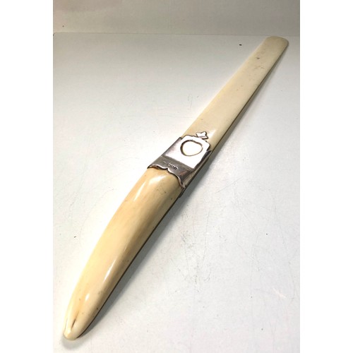54 - Antique silver mounted walrus tusk letter opener measures approx 17ins long london silver hallmarks ... 