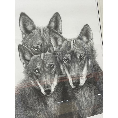 153 - Large framed print of Serbian wolves, limited edition, 454 of 850. Approximate measurements: H29 inc... 