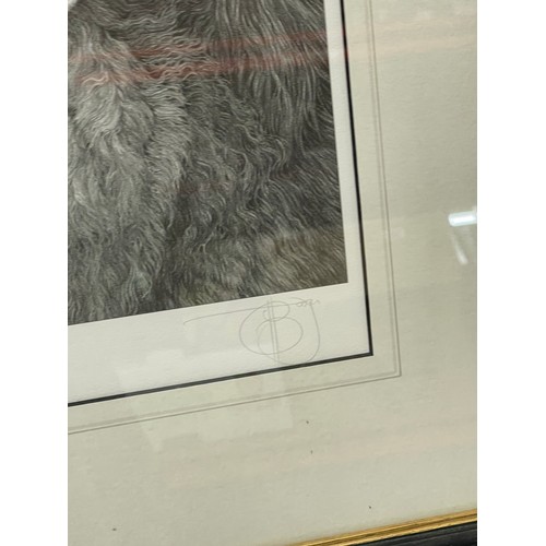 153 - Large framed print of Serbian wolves, limited edition, 454 of 850. Approximate measurements: H29 inc... 