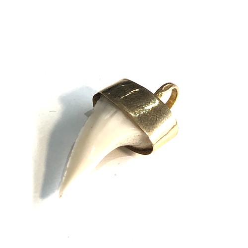 98 - Antique 18ct gold mounted sharks tooth pendant measures approx 2.8cm drop by 1.4cm wide weight 2g