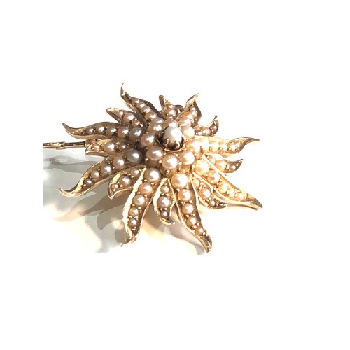 100 - 14ct gold seed-pearl star brooch / pendant measures approx 4.2cm drop by 3.8cm weight 11.2g