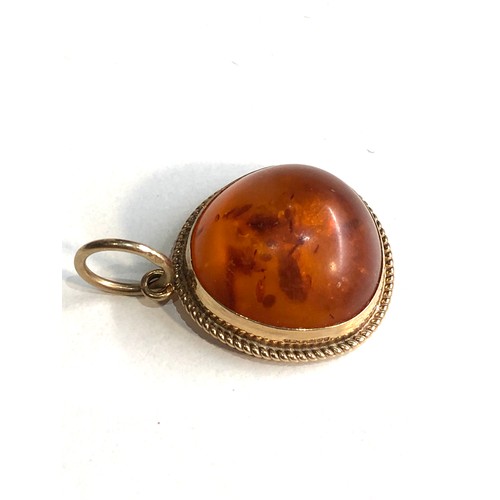 246 - 9ct gold framed amber pendant weight 2.6g