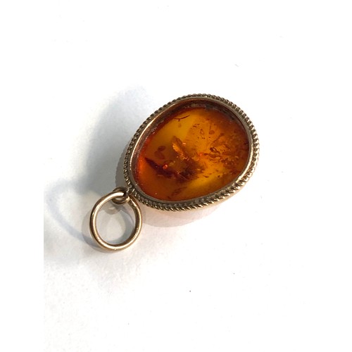 246 - 9ct gold framed amber pendant weight 2.6g