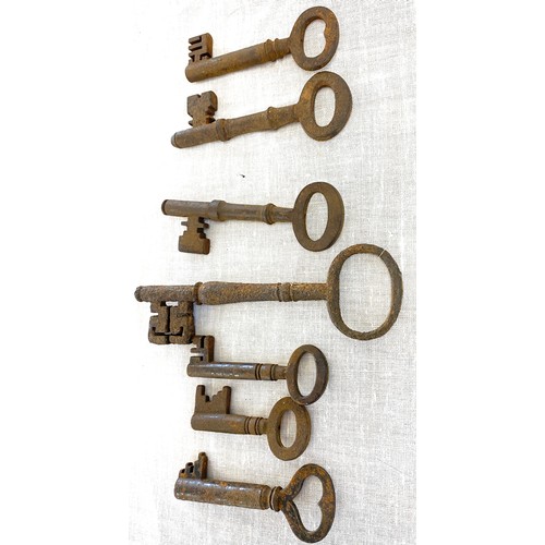 677 - Selection of antique keys