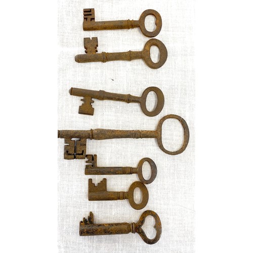 677 - Selection of antique keys