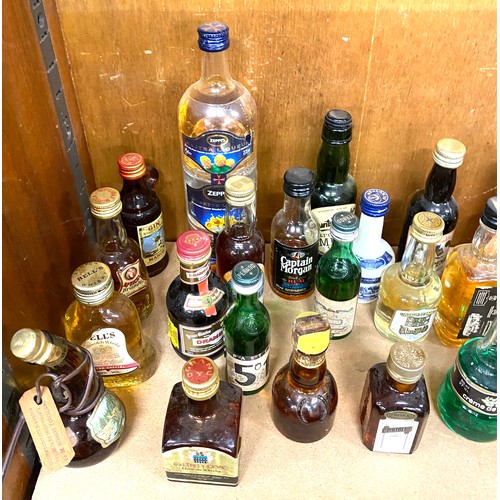 80 - Large selection of alcohol miniatures