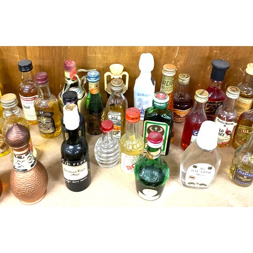 88 - Large selection of alcohol miniatures