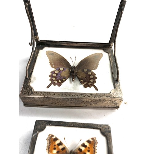 17 - 2x Silver framed butterfly largest measures approx 11cm by 9cm missing slide in panel